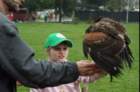 sokolnici_0102_small.jpg