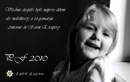 PF 2010 Žlutý květ