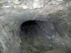 tola_small.jpg