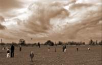 drakyada_rudna09_4886_small.jpg