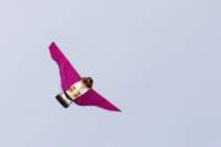 rudenska_drakiada_08_6690_small.jpg
