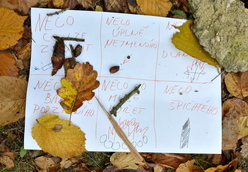Přírodní úkolovaná