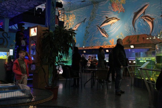 Mosk svt, listopad 2011