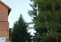 Zbysek Pragr, CZE  A-K tabor 2012
