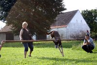 tabor hubenov-12 0348