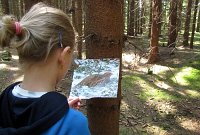 tabor hubenov petra 12 037