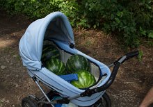 Kaclehy-2012 0203  Kačlehy 2012