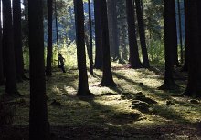 Kaclehy-2012 0233  Kačlehy 2012