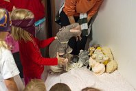 Zbysek Pragr, CZE  MTMĎ I - 2012