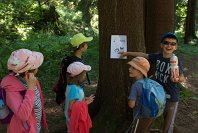 Zbysek Pragr, CZE  MTMĎ II, 2012