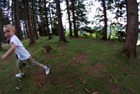 Zbysek Pragr, CZE  MTMĎ II, 2012