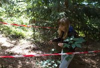 Poslední trosečník - Říčky v Orlických horách, srpen 2012