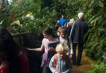Výprava botanická zahrada, březen 2013  Výprava botanická zahrada, březen 2013