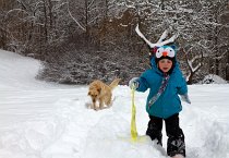 Jarní tábor - Prachatice, únor 2013  Jarní tábor - Prachatice, únor 2013