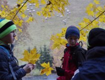 Podzimky-16 0126  Podzimní tábor, Krkonoše 2016 – Horký dech tajgy
