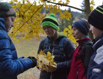 Podzimky-16 0129  Podzimní tábor, Krkonoše 2016 – Horký dech tajgy