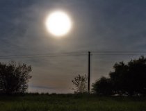 sirak jaro-16 0039  Širák, květen 2016