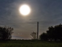 sirak jaro-16 0040  Širák, květen 2016