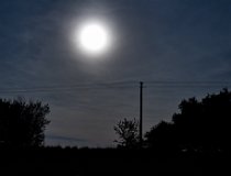 sirak jaro-16 0042  Širák, květen 2016