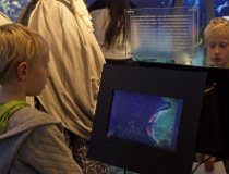 Lodicky-muzeum-16 0059  Lodičky + muzeum Karla Zemana, prosinec 2016