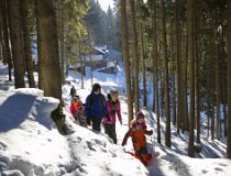 Jarnaky-17 0013  Zimní tábor, Krkonoše, Velká Úpa – únor 2017