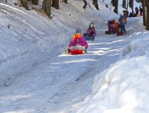 Jarnaky-17 0021  Zimní tábor, Krkonoše, Velká Úpa – únor 2017