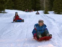 Jarnaky-17 0072  Zimní tábor, Krkonoše, Velká Úpa – únor 2017