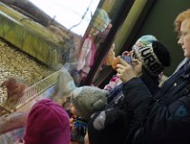 Jarnaky-17 0206  Zimní tábor, Krkonoše, Velká Úpa – únor 2017