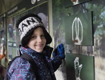 Jarnaky-17 0211  Zimní tábor, Krkonoše, Velká Úpa – únor 2017