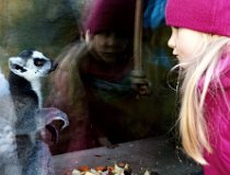 Jarnaky-17 0230  Zimní tábor, Krkonoše, Velká Úpa – únor 2017