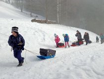 Jarnaky-17 0253  Zimní tábor, Krkonoše, Velká Úpa – únor 2017