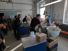 vyprava listopad-23 0021  Výprava Balto - listopad 23