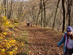 vyprava listopad-23 0097  Výprava Balto - listopad 23