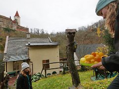 vyprava listopad-23 0132  Výprava Balto - listopad 23