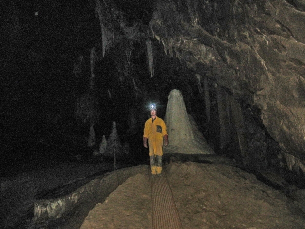 V dmu