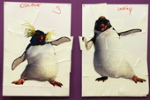 Happy Feet - výprava říjen 2011