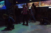 Výprava Mořský svět, listopad 2011