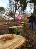 Doba ledová - výprava Železná březen 2011