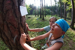 Tábor Kačlehy 2012 - Pátý element