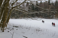 Vandr Česká Kanada, únor 2013