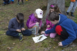 Výprava duben 2014 - Mravenec Z