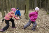 Výprava do lesa, březen 2015