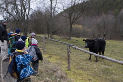 Výprava na Brdy, únor 2016