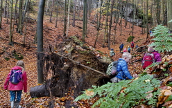 Podzimní tábor 2017
