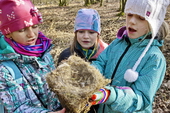 Čištění budek 2019