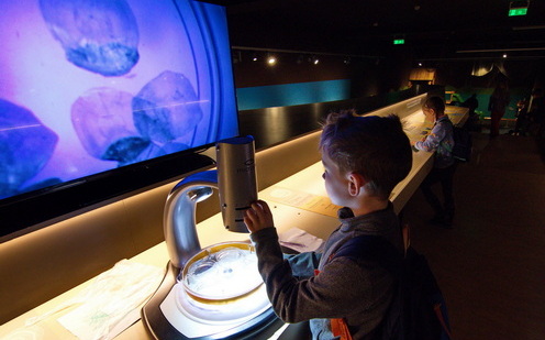 Národní zemědělské muzeum, leden 2023